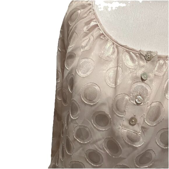 The Limited NWT Women's Polka Dot Tunic Top Shimmer Sheer Ballet Core Pink XS - Picture 2 of 12